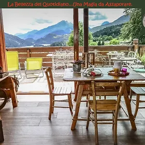 Fra Rose E Mughi , Domegge di Cadore Italy