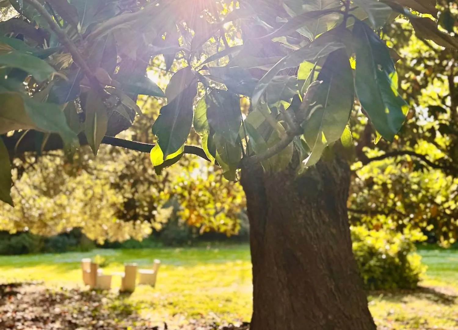 Villa La Dogana B&B Di Charme - Historic Villa With A Beautiful Garden Lucca 2*,