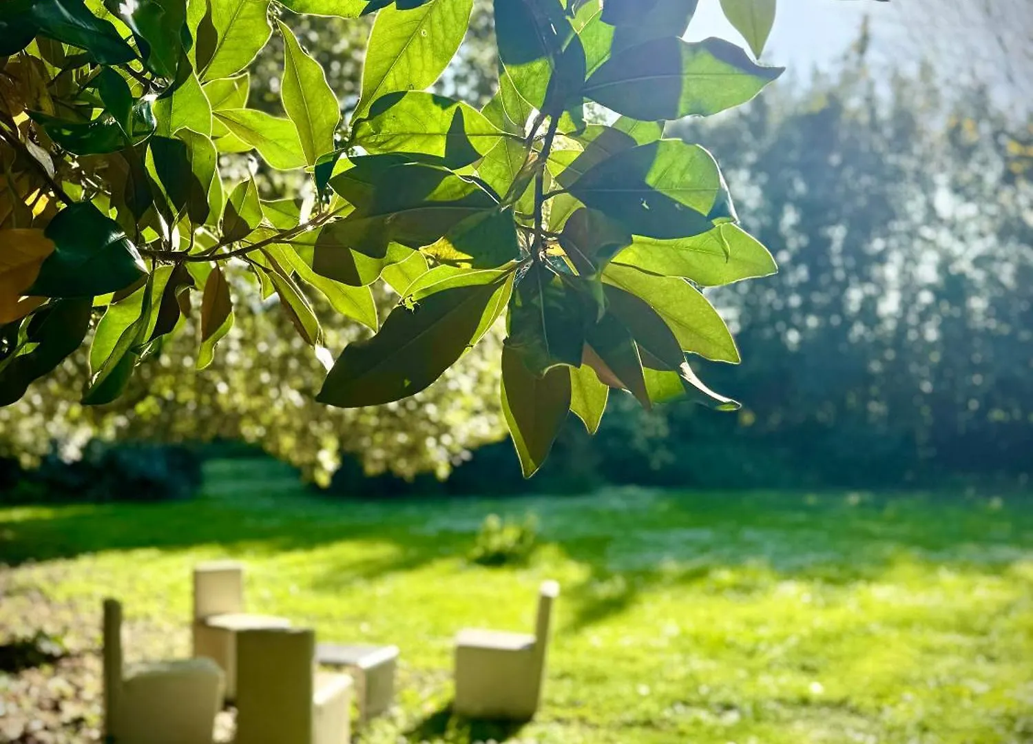 Villa La Dogana B&B Di Charme - Historic Villa With A Beautiful Garden Lucca
