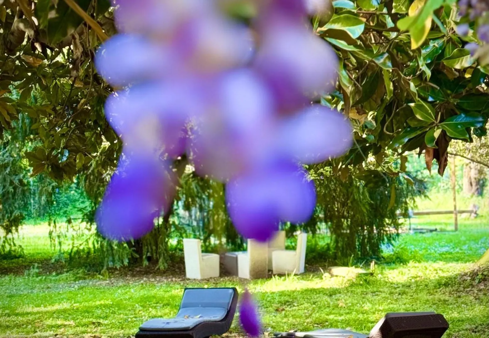 Couette-café Villa La Dogana B&B Di Charme - Historic Villa With A Beautiful Garden Lucques