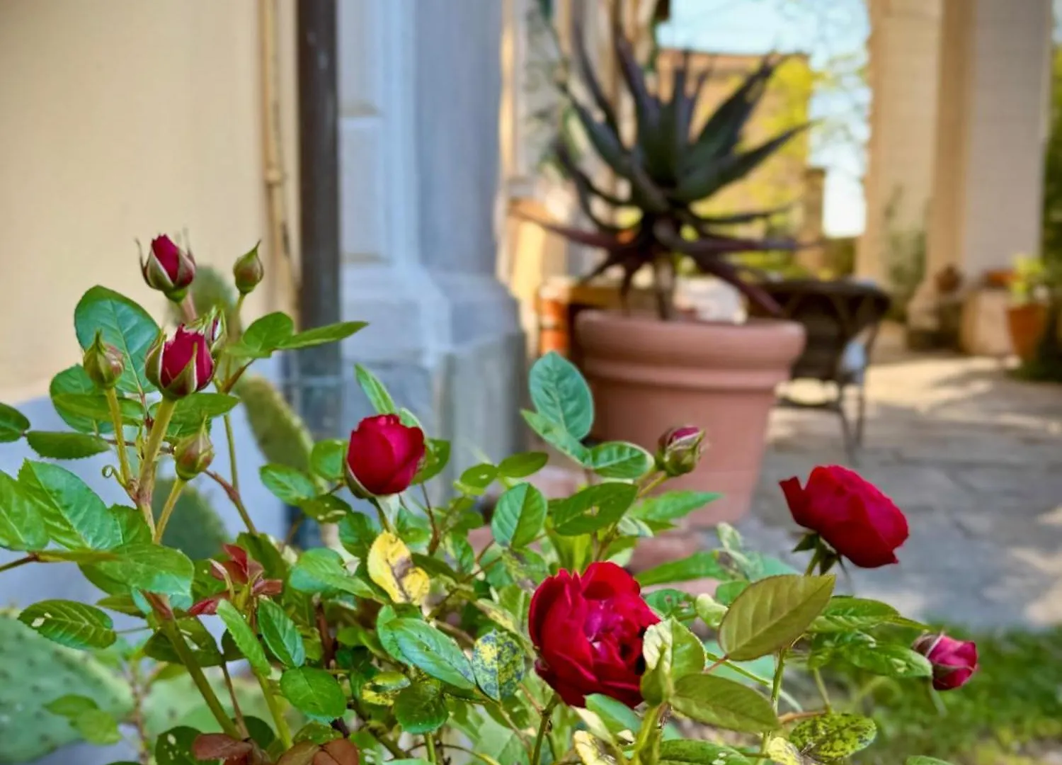 Villa La Dogana B&B Di Charme - Historic Villa With A Beautiful Garden Lucca 2*,  Italy