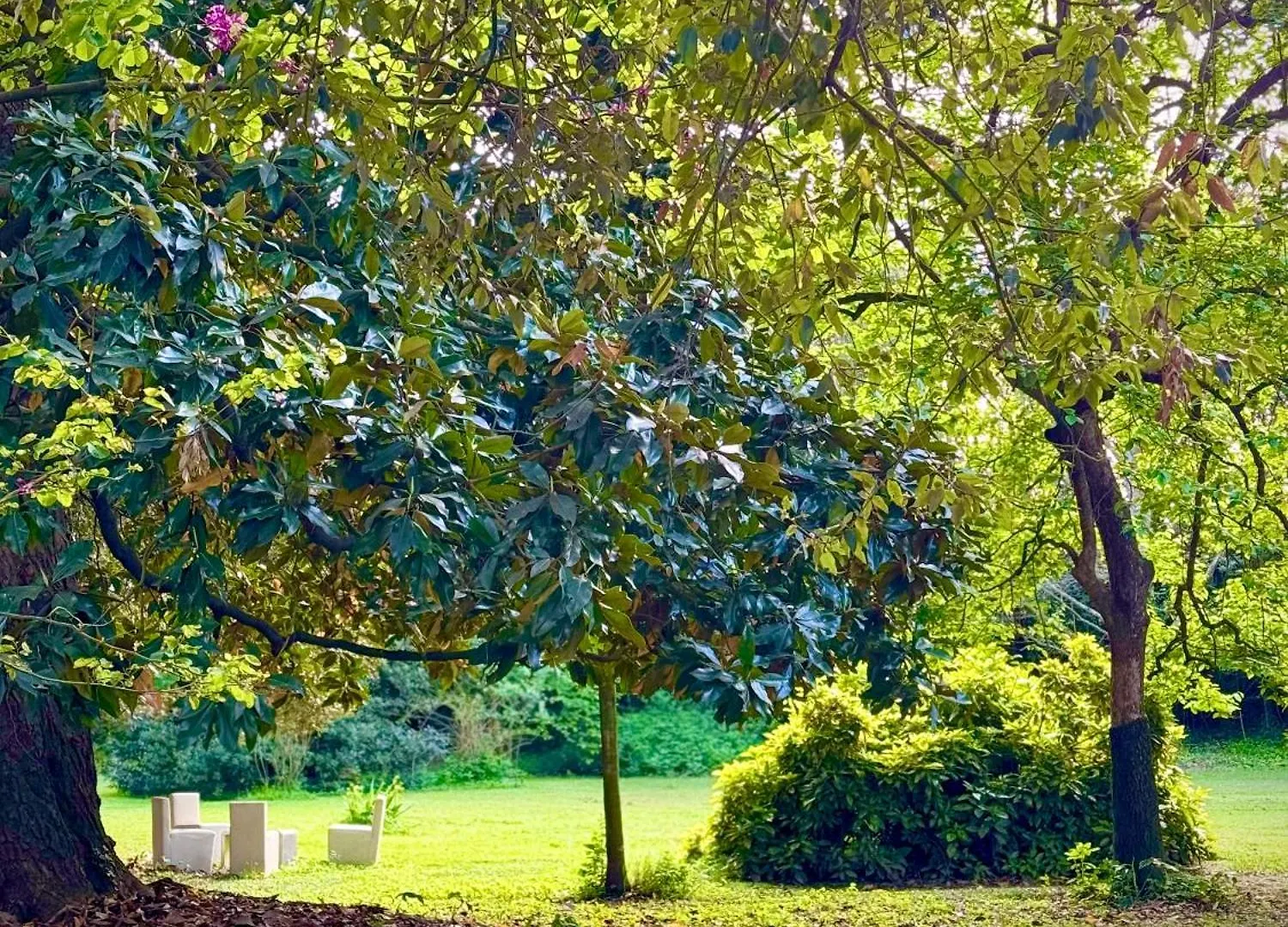 Villa La Dogana B&B Di Charme - Historic Villa With A Beautiful Garden Lucca Italy